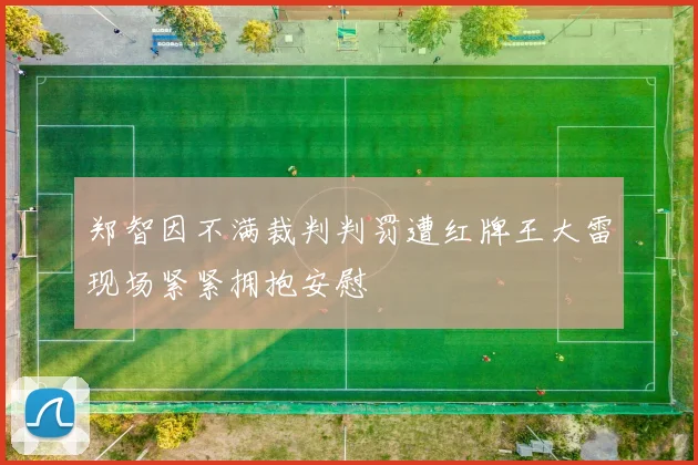 郑智因不满裁判判罚遭红牌王大雷现场紧紧拥抱安慰
